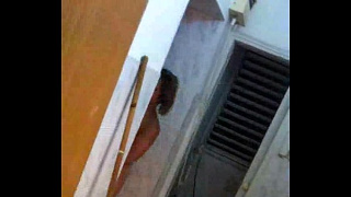 [Sex Video, Videos Sex, Year] Free XXX Israeli American
